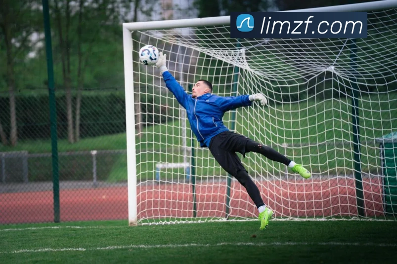 乐鱼官方网站品牌故事