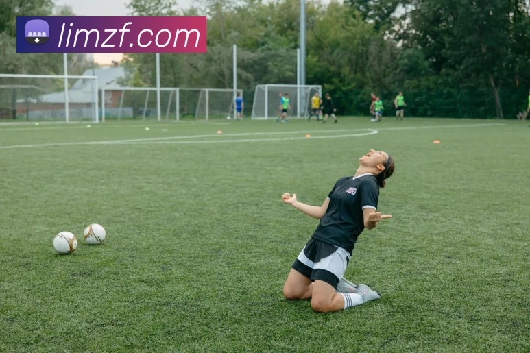 乐鱼官方网站服务体系